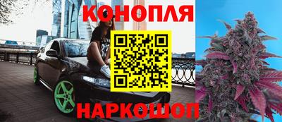 молекула духа Берёзовский