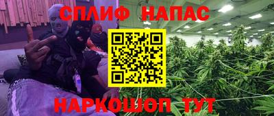 молекула духа Берёзовский