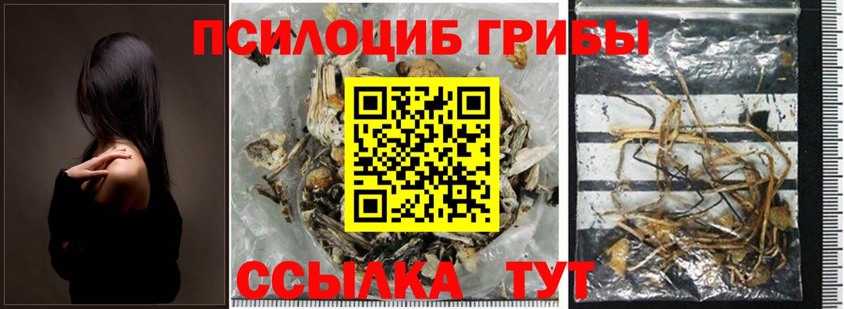 Галлюциногенные грибы Cubensis Бор