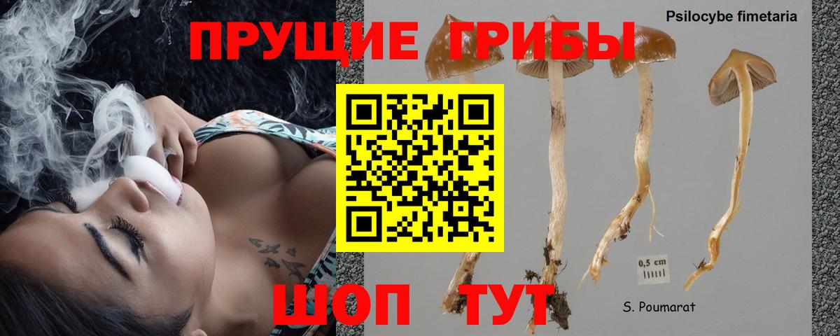 Галлюциногенные грибы ЛСД  Галлюциногенные грибы Psilocybe  Вход с VPN  Бор 
